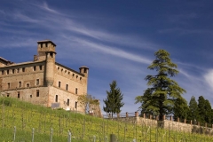 Langhe-Castello-Grinzane