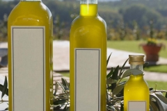 olive_harvesting_bottles