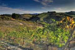 tuscan_cuisine_1