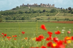 tuscany_spring_monteriggioni